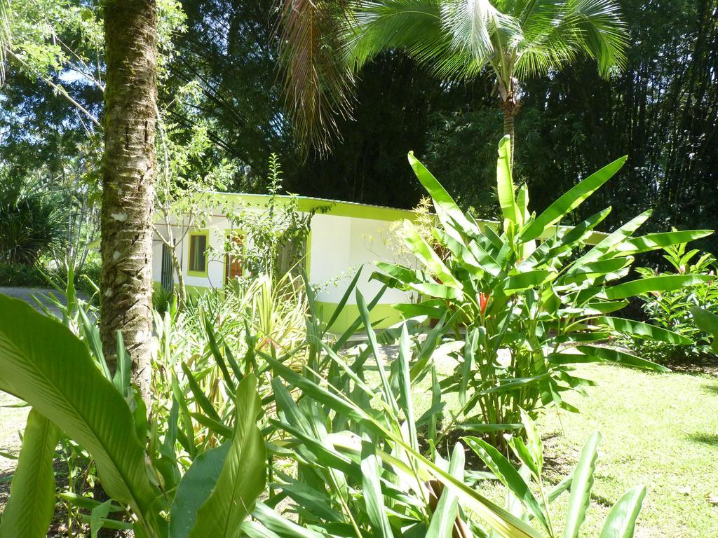 3 Bamboo Eco Lodge Cahuita Exteriör bild