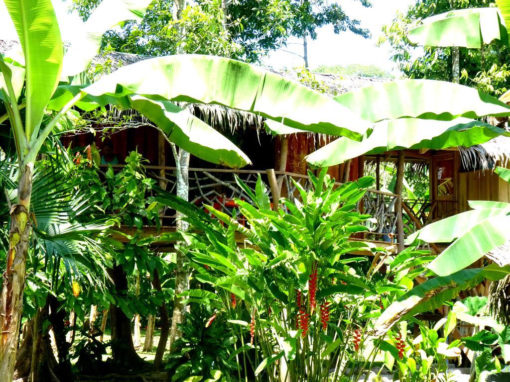 3 Bamboo Eco Lodge Cahuita Exteriör bild