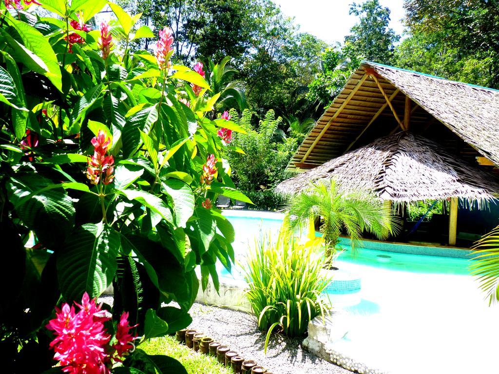 3 Bamboo Eco Lodge Cahuita Exteriör bild