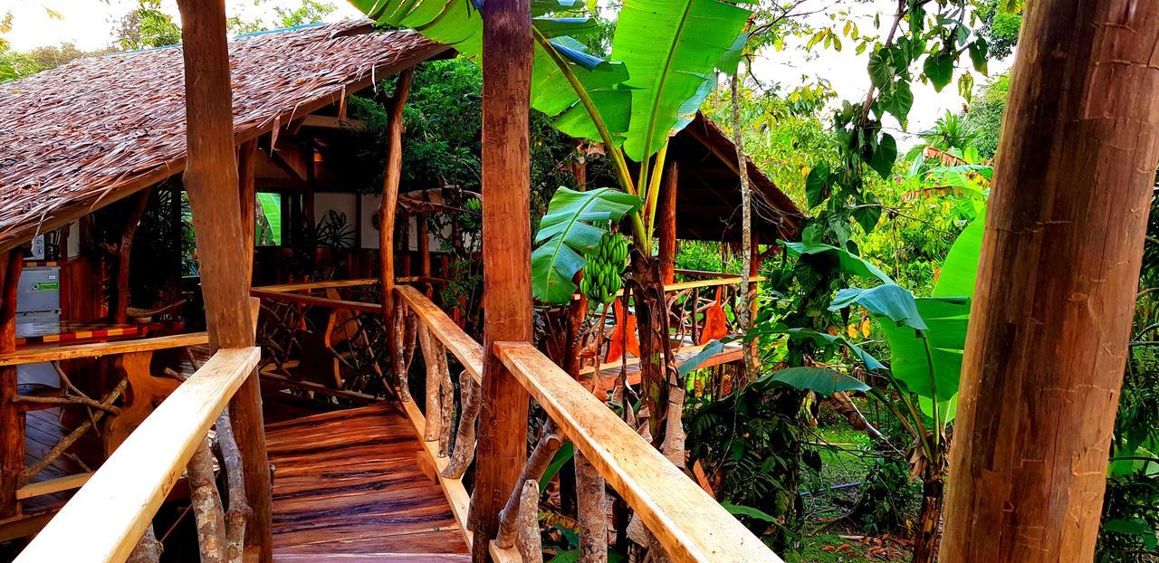 3 Bamboo Eco Lodge Cahuita Exteriör bild