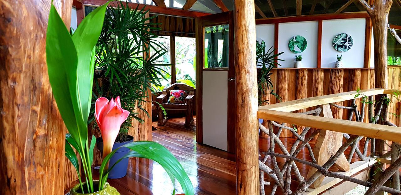 3 Bamboo Eco Lodge Cahuita Exteriör bild
