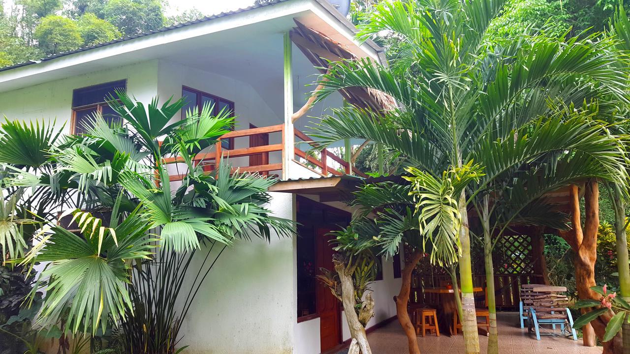 3 Bamboo Eco Lodge Cahuita Exteriör bild