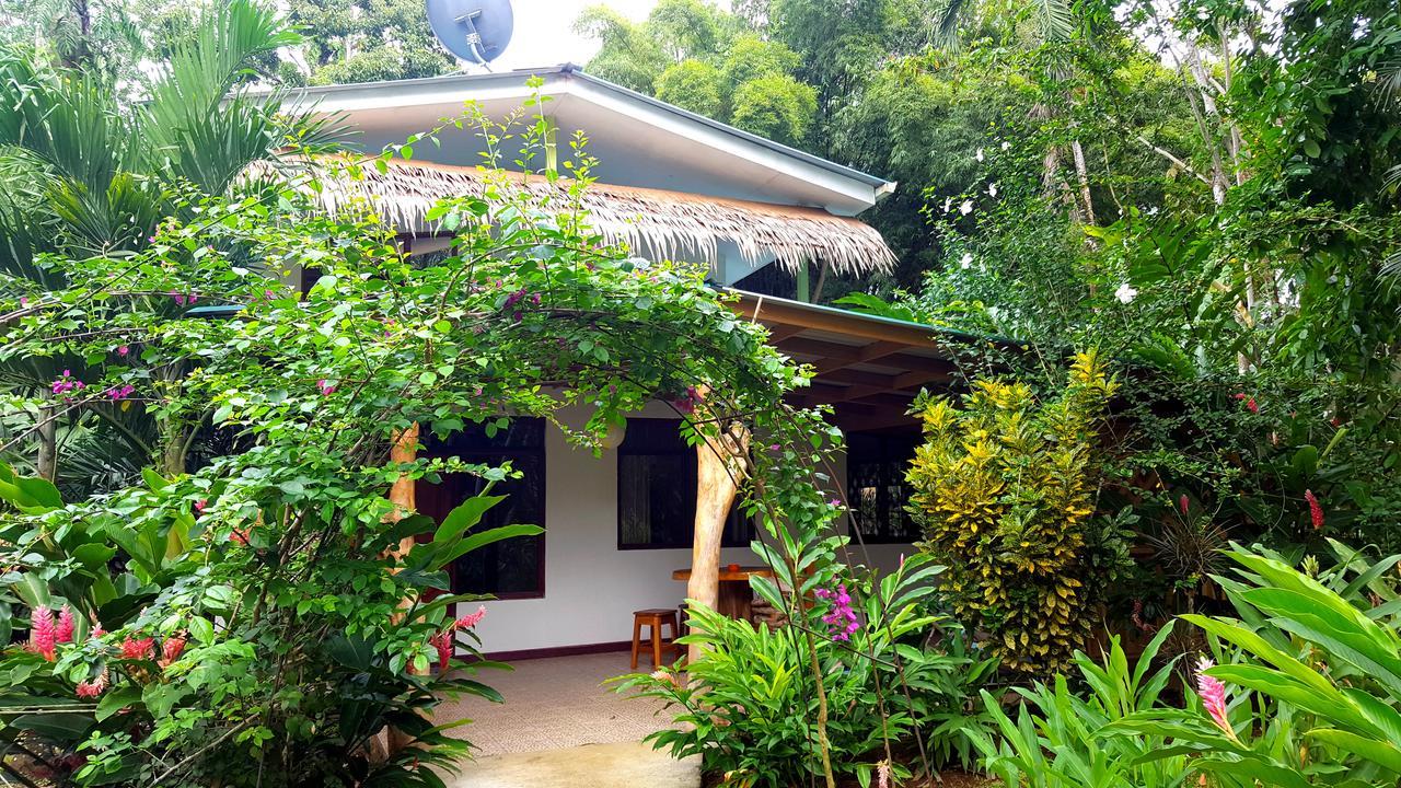 3 Bamboo Eco Lodge Cahuita Exteriör bild