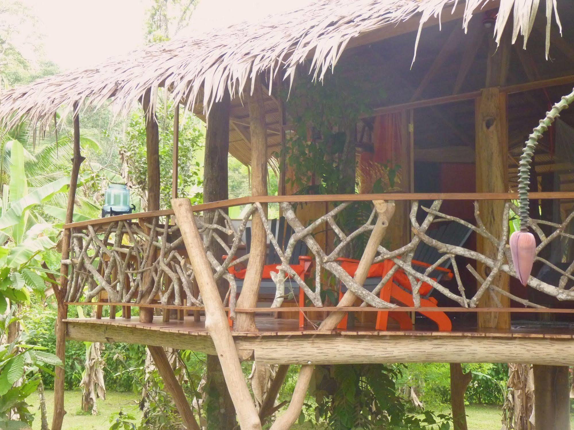3 Bamboo Eco Lodge Cahuita Exteriör bild