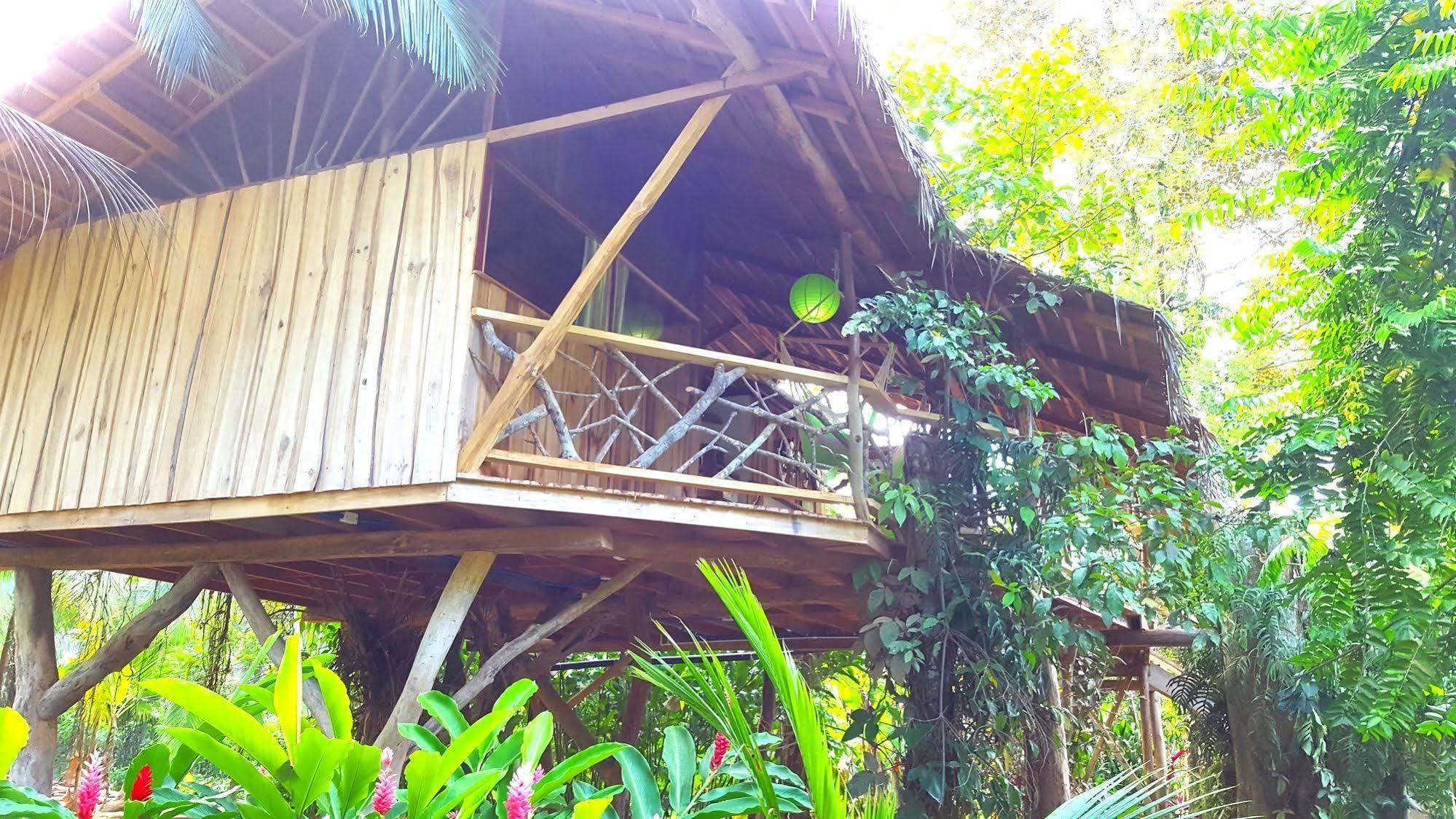 3 Bamboo Eco Lodge Cahuita Exteriör bild